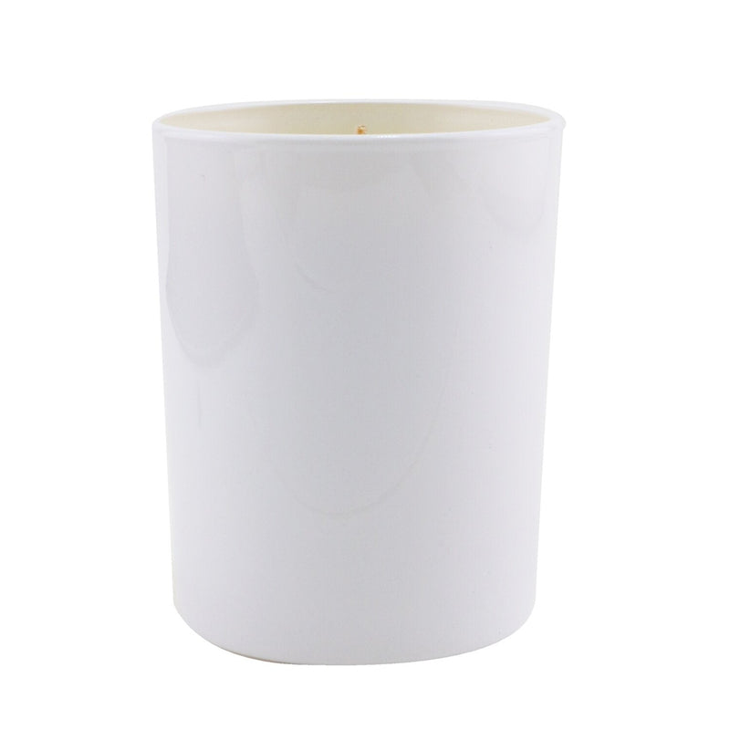 Max Benjamin Ocean Islands Candle - Seychelles 