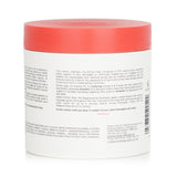 Christophe Robin Regenerating Mask with Rare Prickly Pear Oil - Dry & Damaged Hair 250ml/8.4oz