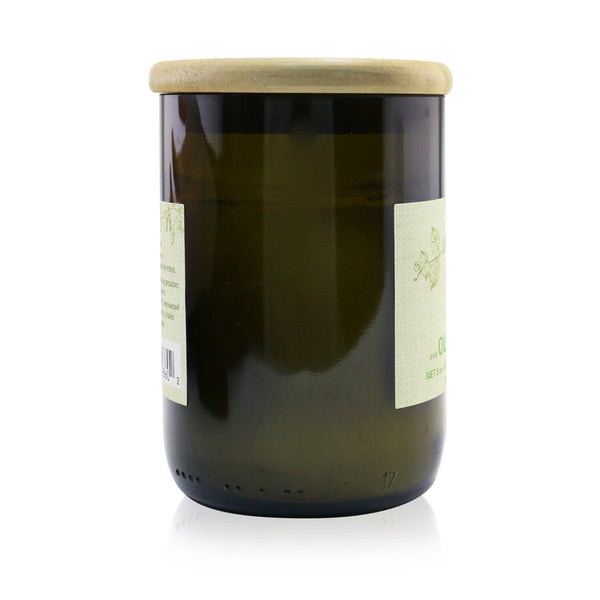 Paddywax Eco Candle - Thyme & Olive Leaf  226g/8oz