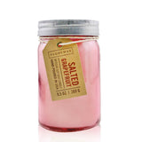 Paddywax Relish Candle - Salted Grapefruit  269g/9.5oz