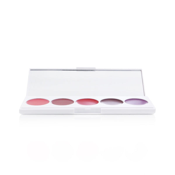 OFRA Cosmetics Signature Palette (Lipstick) - # Lipstick Variety  5x2g/0.07oz