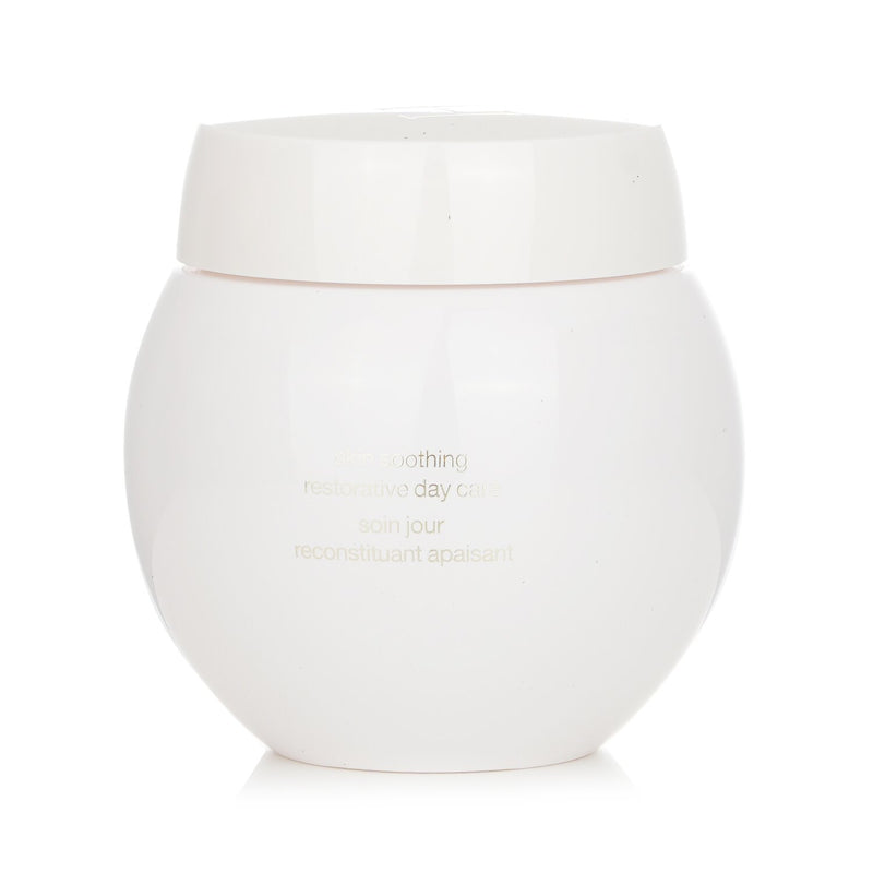 Helena Rubinstein Re-plasty Age Recovery Skin Soothing Restorative Day Care  100ml/3.6oz