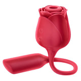 Erocome Coronaborealis Clitoral Sucking Vibrator  1 pc