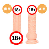 PPP ?Made in Japan?Punitto Real Dildo 14cm  1pc