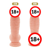 PPP ?Made in Japan?Punitto Real Meiki Dildo Magnum 15cm  1pc