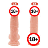 PPP ?Made in Japan?Punitto Real Meiki Dildo King 14cm  1pc