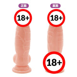 PPP ?Made in Japan?Punitto Real Meiki Dildo Tsuchinoko 14cm  1pc