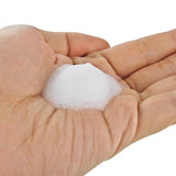 SSI Japan Pt Ag+ Onahole Foam Cleaner  80ml