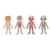 Tooky Toy Co Body Magnetic Chart  30x40x1cm