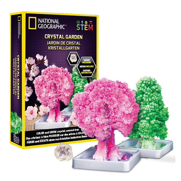National Geographic National Geographic Crystal Garden  18 x 6 x 25cm