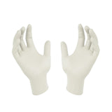 KQ Protos - Latex Examination Gloves -white (M)  M