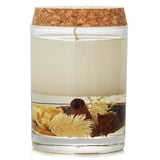Botanica Home Fragrance Candle Citrus  1pcs