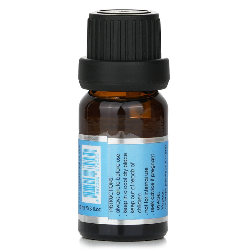 Carroll & Chan Fragrance Oil - # Ocean Mist  10ml/0.3oz