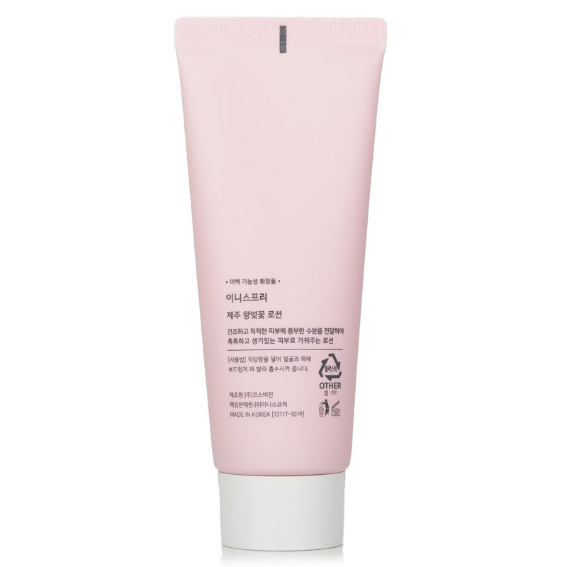 Innisfree Jeju Cherry Blossom Lotion  100ml/3.38oz