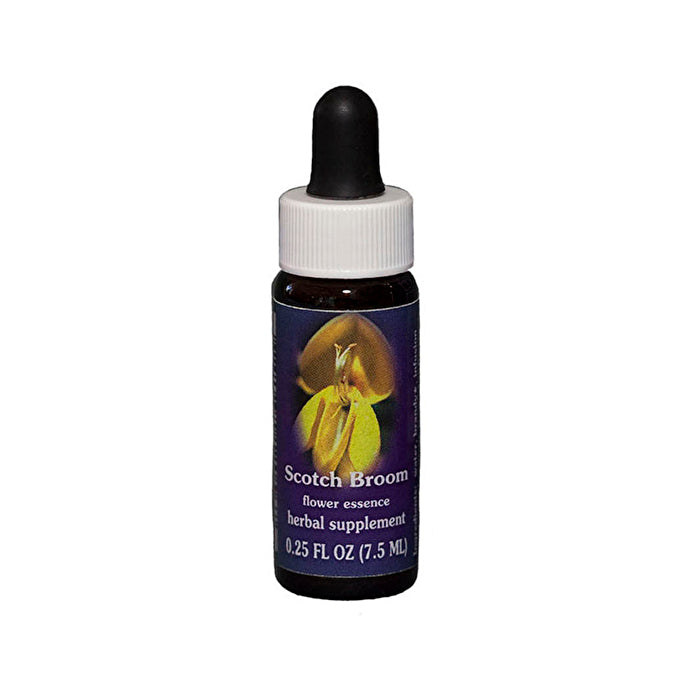 Fes Flower Essences FES Quintessentials Scotch Broom 7.5ml