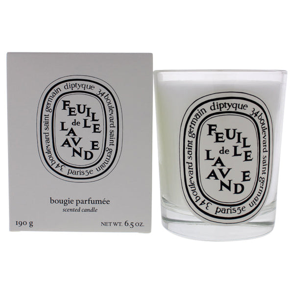 Diptyque Feuille de Lavande Scented Candle by Diptyque for Unisex - 6.5 oz Candle