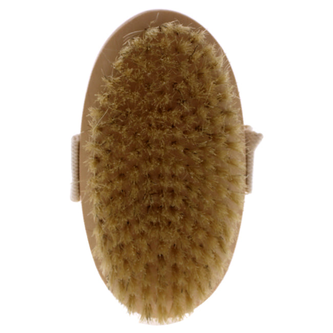 FantaSea Natural Bristle Body Brush by FantaSea for Unisex - 1 Pc Brush