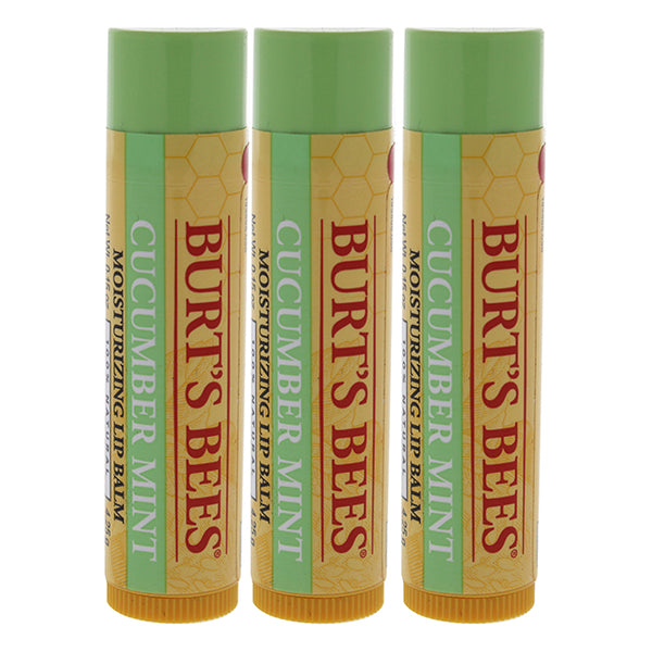 Cucumber Mint Moisturizing Lip Balm by Burts Bees for Women - 0.15 oz Lip Balm - Pack of 3