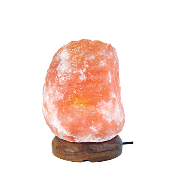 SaltCo Salt Crystal Lamp XX-Small 1- 2kg